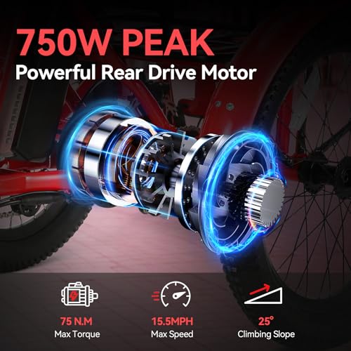 20" x2.6 Fat Tire Electric Tricycle Q937
