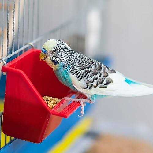Molting Supplement for Small Animals X93581