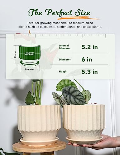 6 inch Set of 2 Ceramic Plant Pots with Drainage Hole and Saucer, Creamy White I81772