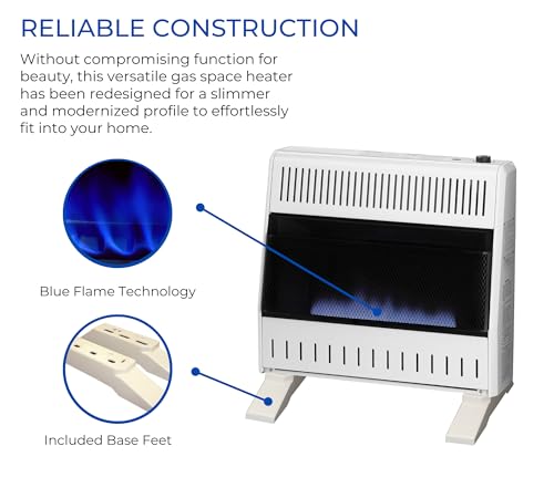 30,000 BTU Liquid Propane Blue Flame Heater W6536