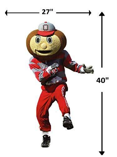 Ohio State Buckeyes Mascot Q81611