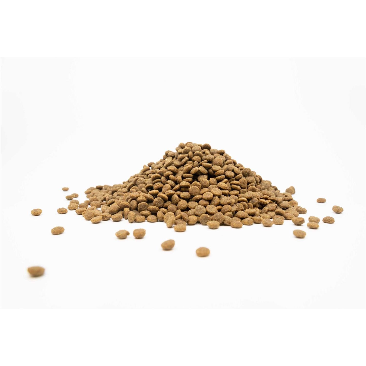 Grain-Free White Fish Adult Small Breed Dog Dry Food W5061