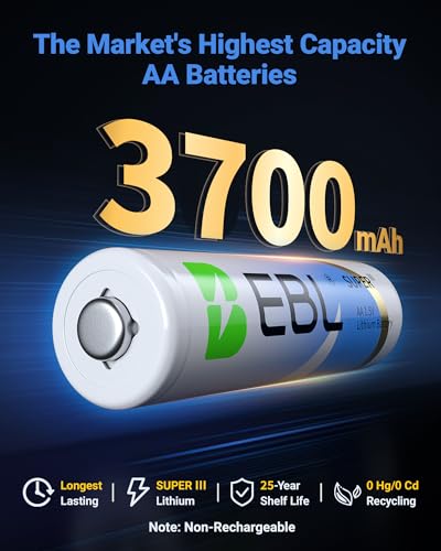12 Pack 1.5V 3700mAh AA Lithium Batteries L65240