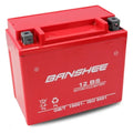 12 Volt 12Ah Lead-Acid Battery U4491