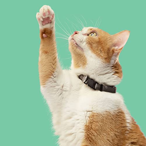 14 Pounds Dry Cat Food with Chicken, Lentils & Salmon G87544