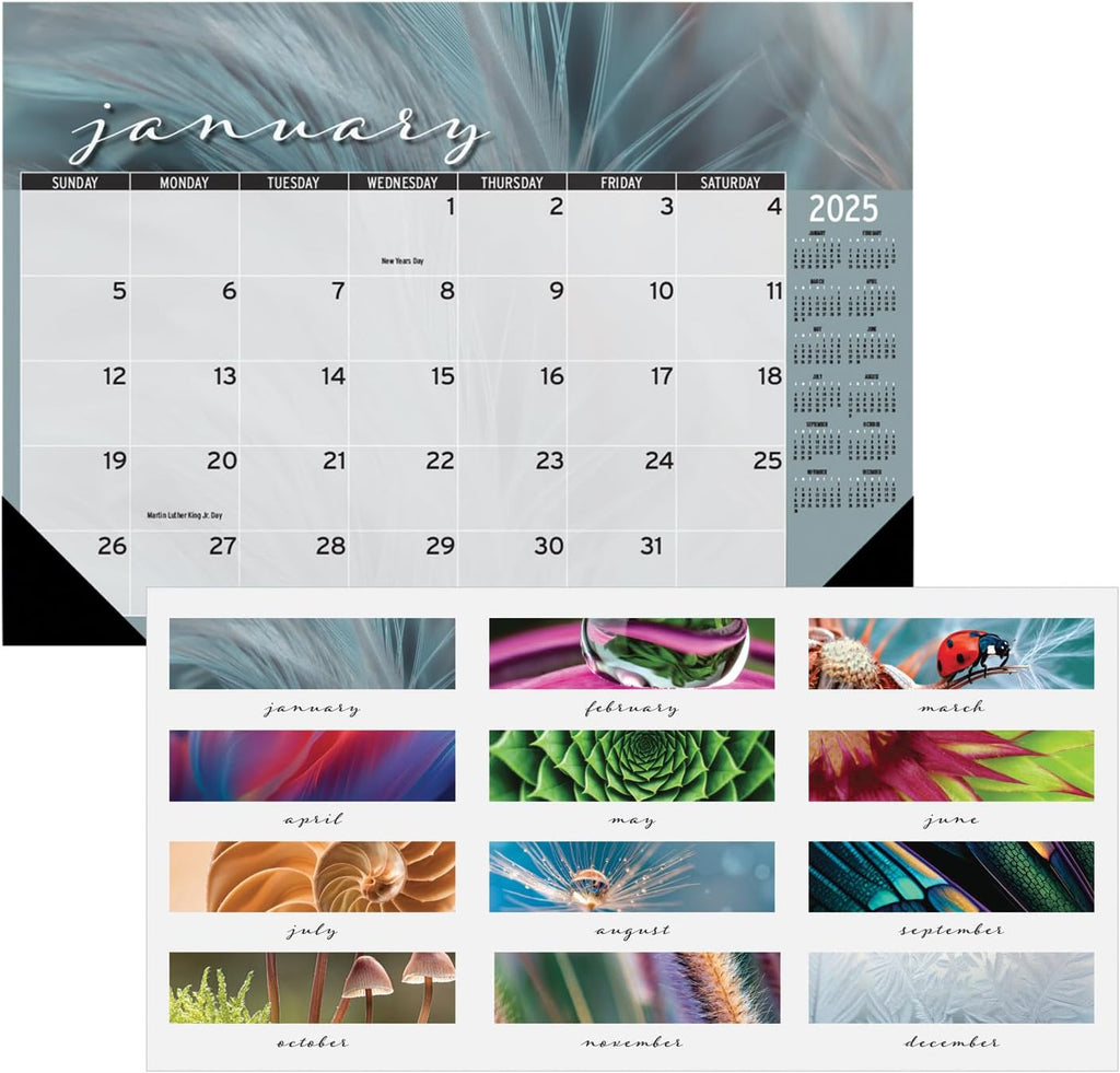 2025 Monthly Desk Pad Calendar, 18.5 x 13 Inches B1463