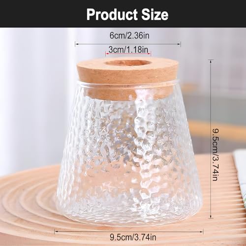 2 Pcs Separated Desktop Plant Terrarium with Wood Lid, Glass Plants Propagation Station P236