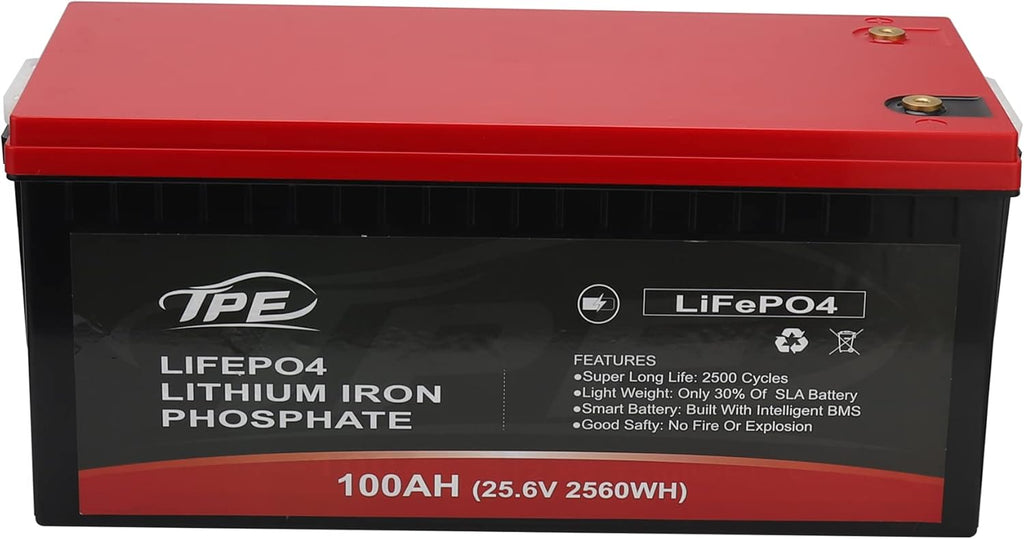 24V 100AH Rechargeable Deep Cycle Lithium Iron Phosphate Battery D555323