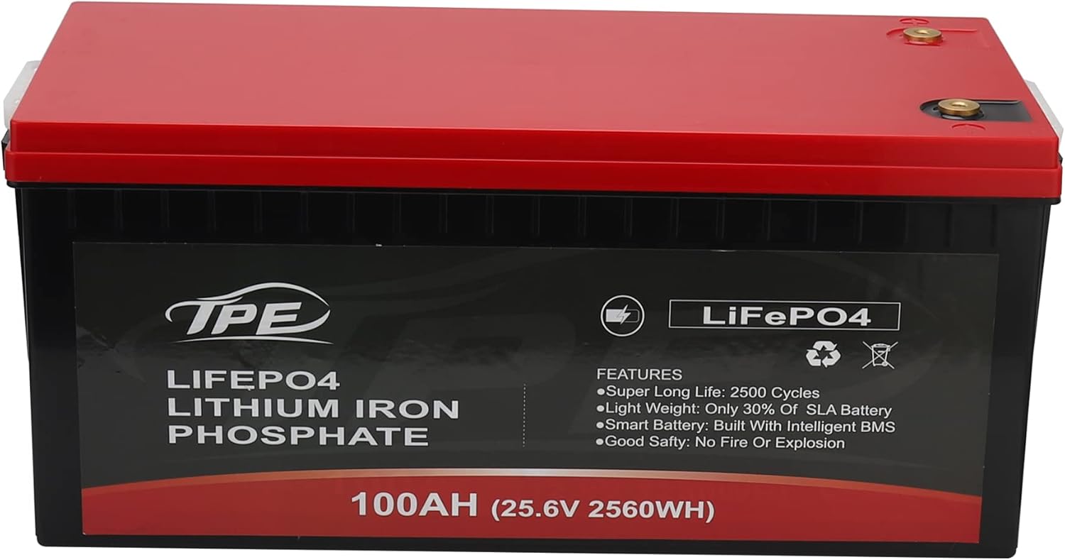 24V 100AH Rechargeable Deep Cycle Lithium Iron Phosphate Battery D555323