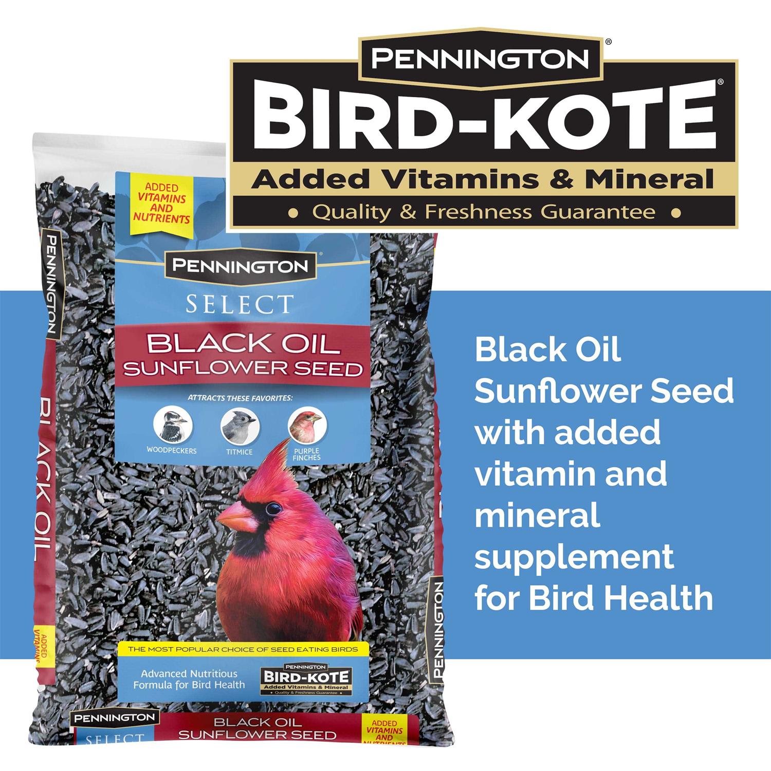 Black Oil Sunflower Seed Wild Bird Feed B255665