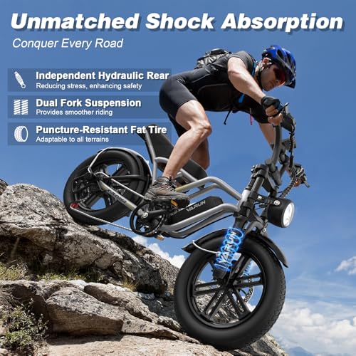 Electric Bike 750W 48V 13Ah Battery 20" Fat Tire U214