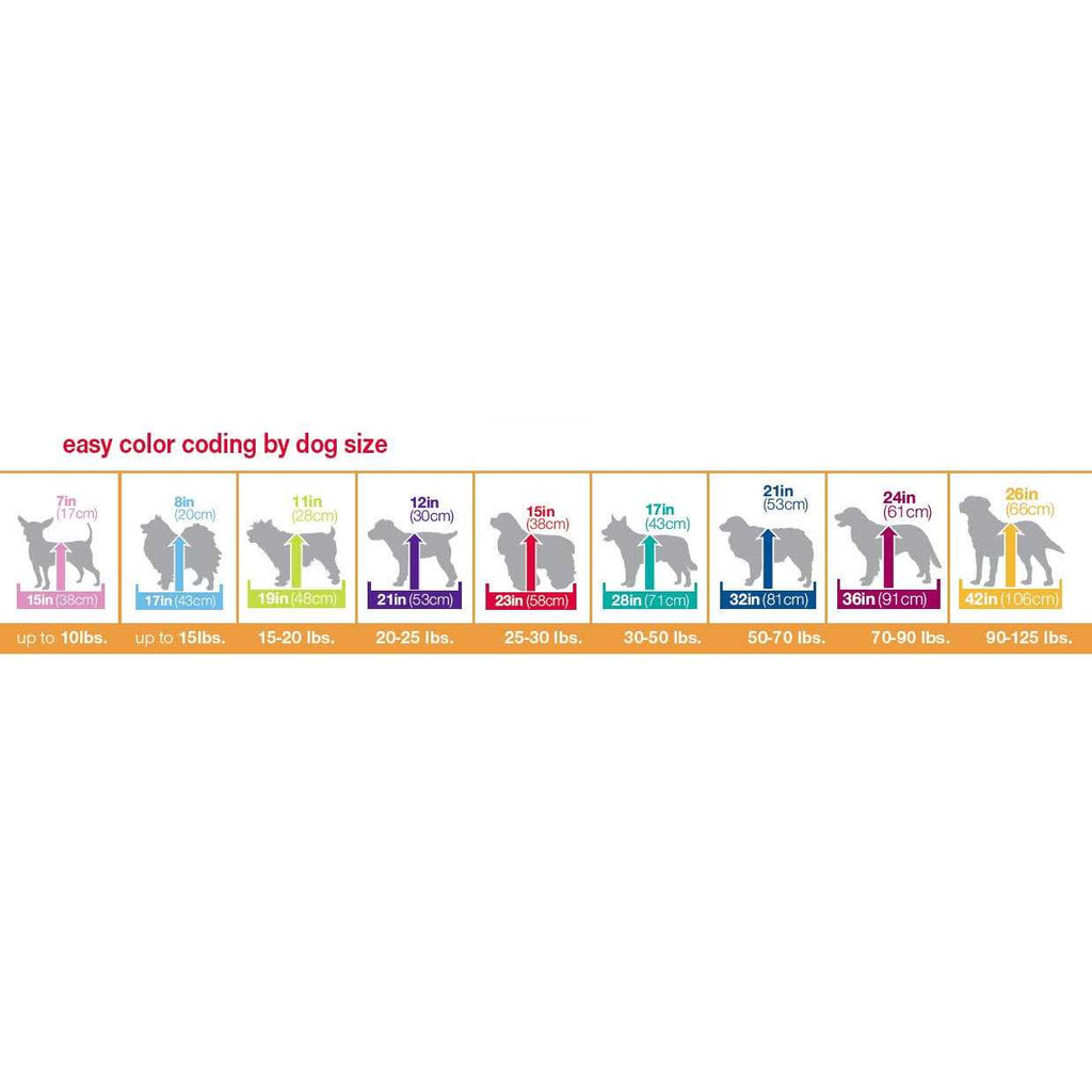 2 Door Wire Pet Crate J692