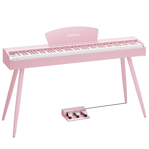 88 Key Fully Weighted Hammer Action Digital Piano Black F8738
