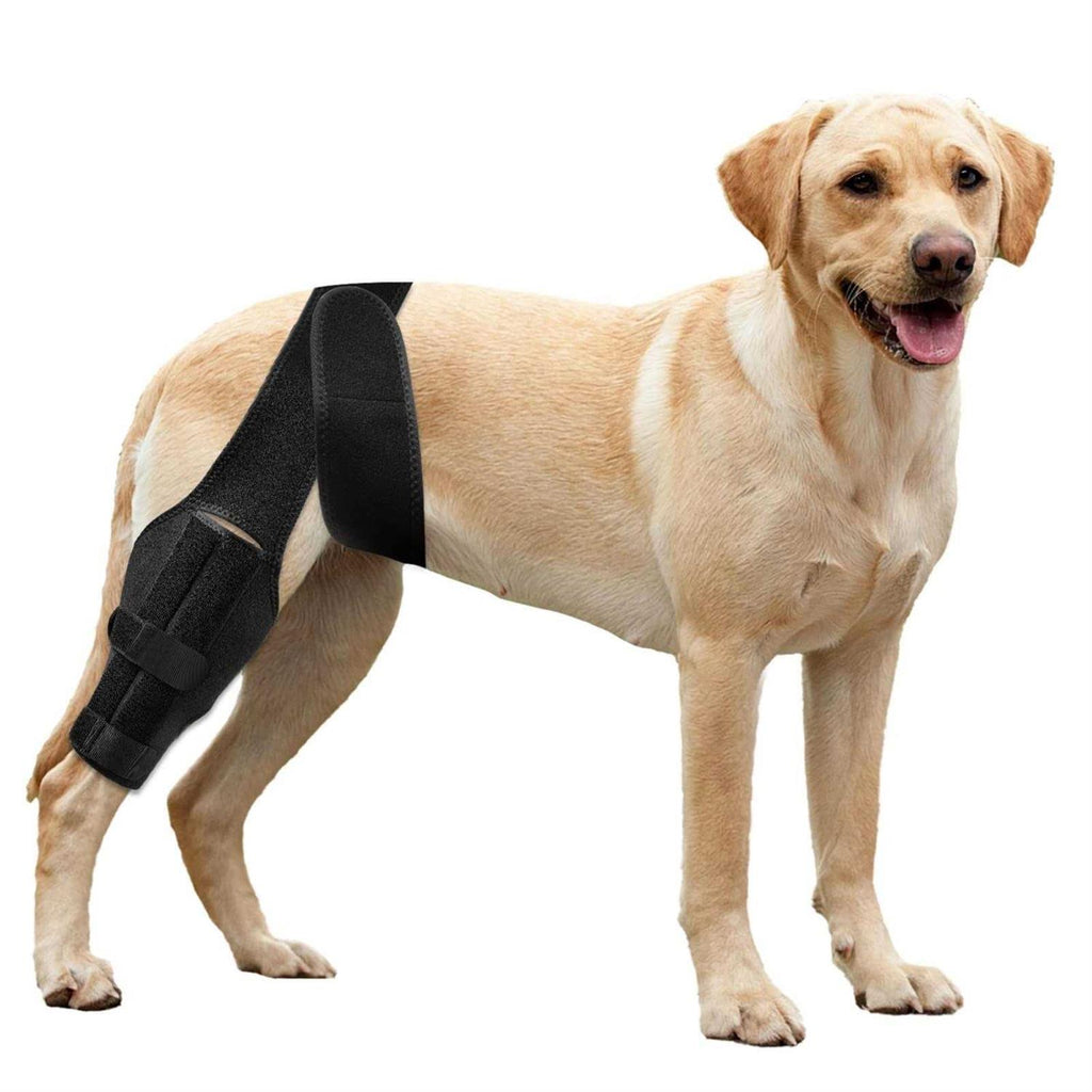 Dog Knee Brace for ACL with Cruciate Ligament Injury F7290
