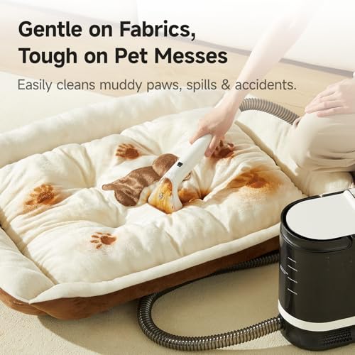 Portable Carpet and Upholstery Cleaner Spot Cleaner L5868